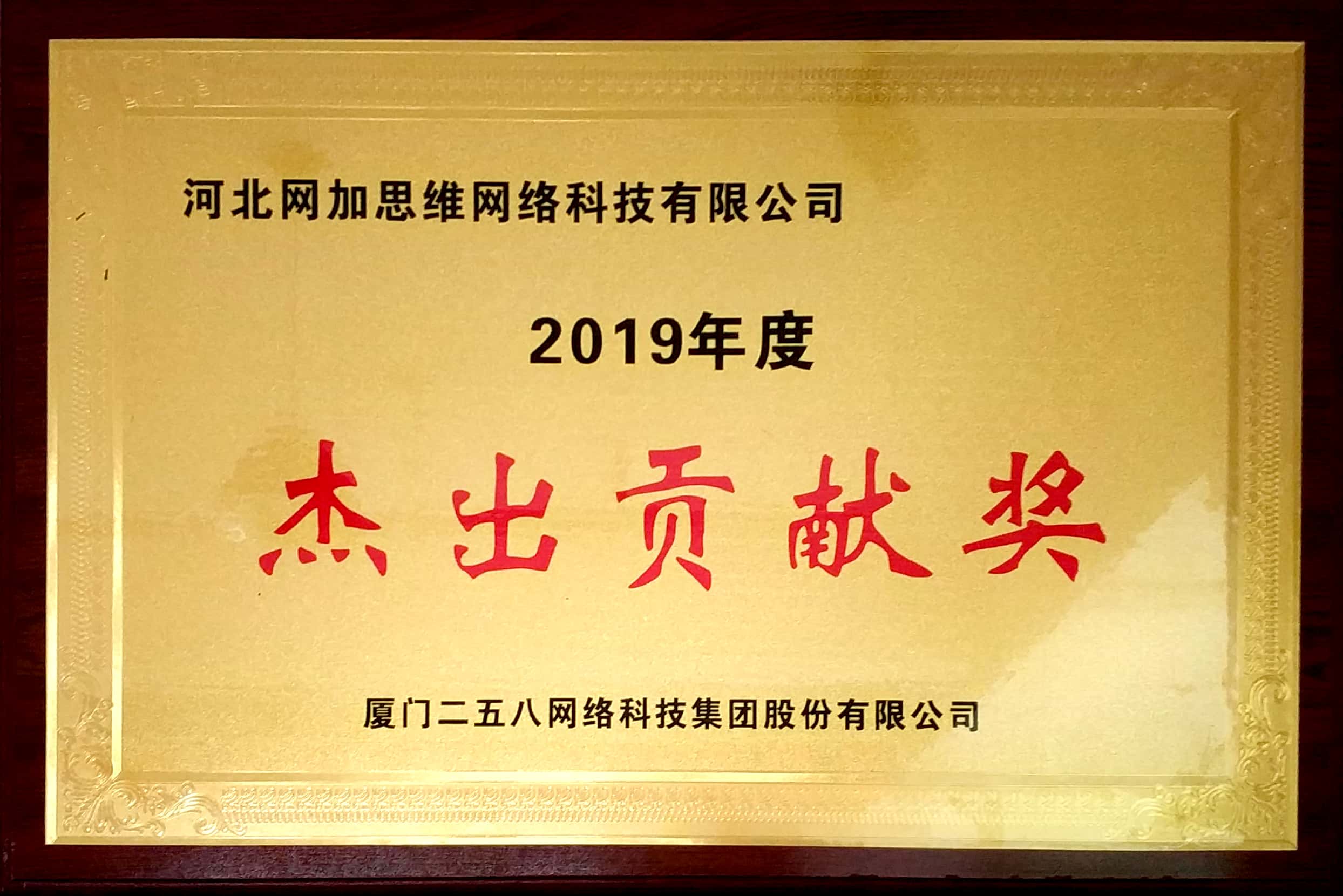 2019年度杰出贡献奖